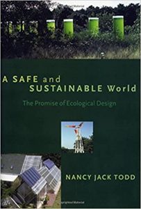 A Safe And Sustainable World - The Promise Of Ecological Design, 2005