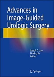 Advances In Image-Guided Urologic Surgery, 2015