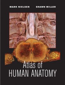 Atlas Of Human Anatomy, 2011