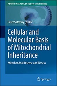 Cellular And Molecular Basis Of Mitochondrial Inheritance - Mitochondrial Disease And Fitness, 2019