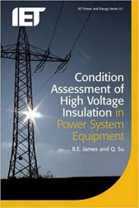 Condition Assessment Of High Voltage Insulation In Power System Equipment (Iet Power And Energy), 2007