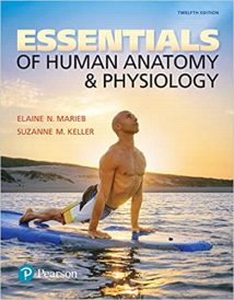 Essentials Of Human Anatomy & Physiology Plus Mastering A&P With Pearson Etext - Access Card Package, 2017