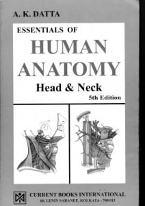 Essentials Of Human Anatomy. Head And Neck, 2013