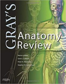 Gray'S Anatomy Review, 2010