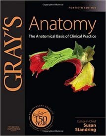 Gray'S Anatomy - The Anatomical Basis Of Clinical Practice; 40Th Edition, 40th ed, 2008