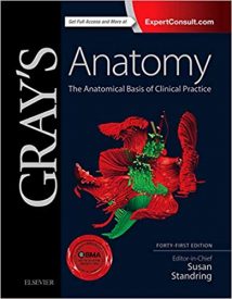 Gray'S Anatomy. The Anatomical Basis Of Clinical Practice. Part 2, 2015