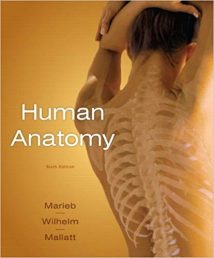 Human Anatomy, 6th ed, 2010