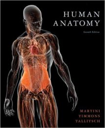 Human Anatomy, 7th ed, 2012