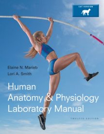 Human Anatomy & Physiology Laboratory Manual Cat Version, 12th ed, 2016