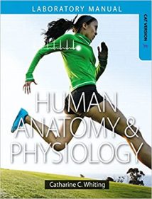 Human Anatomy & Physiology Laboratory Manual - Making Connections, Cat Version 1st Edition, 2015