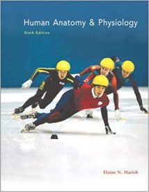 Human Anatomy & Physiology, 6th ed, 2004