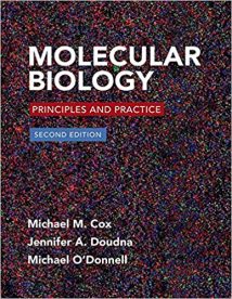 Molecular Biology - Principles And Practice, 2nd ed, 2015