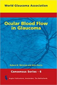 Ocular Blood Flow In Glaucoma, 2009