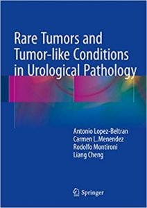 Rare Tumors And Tumor-Like Conditions In Urological Pathology, 2015