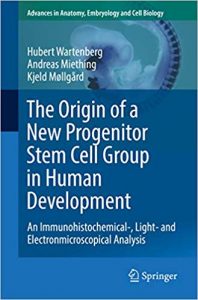 The Origin Of A New Progenitor Stem Cell Group In Human Development - An Immunohistochemical-, Light- And Electronmicroscopical Analysis, 2019