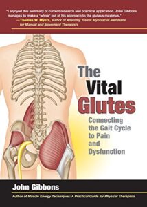 The Vital Glutes Connecting the Gait Cycle to Pain and Dysfunction 2014